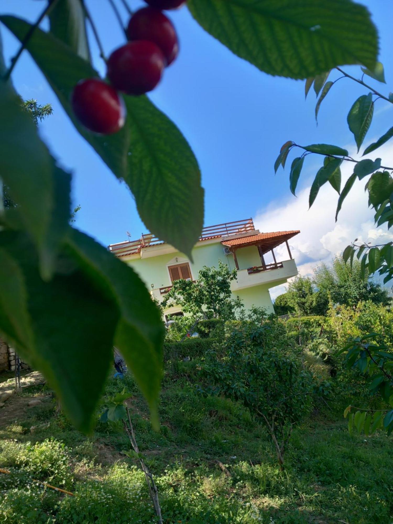 Vila Dean Berat Luaran gambar